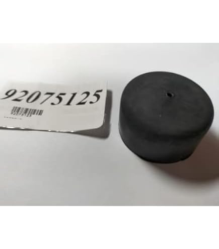 ちゅん Amazon.com: 92075